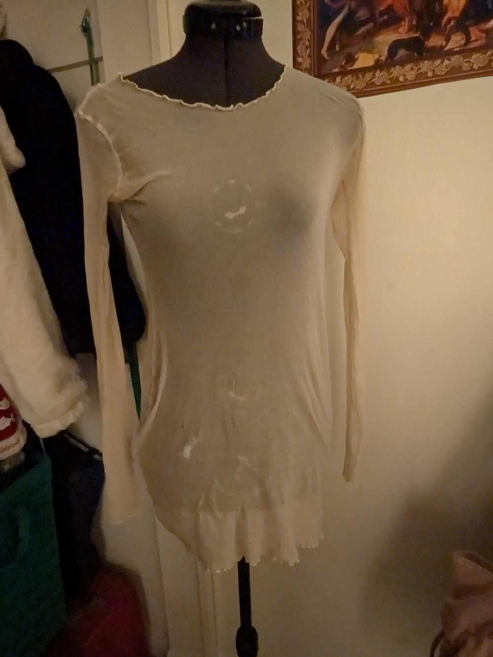 Sheer Long-Sleeve Cream Women's Top